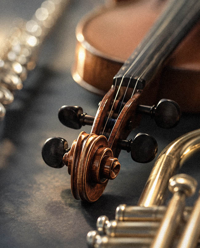 Streichinstrument mit Fokus auf den Wirbelkasten